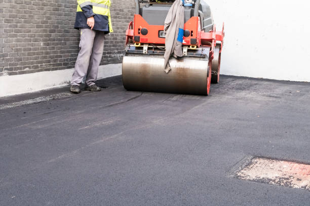 Best Driveway Border and Edging  in Arlington, TX